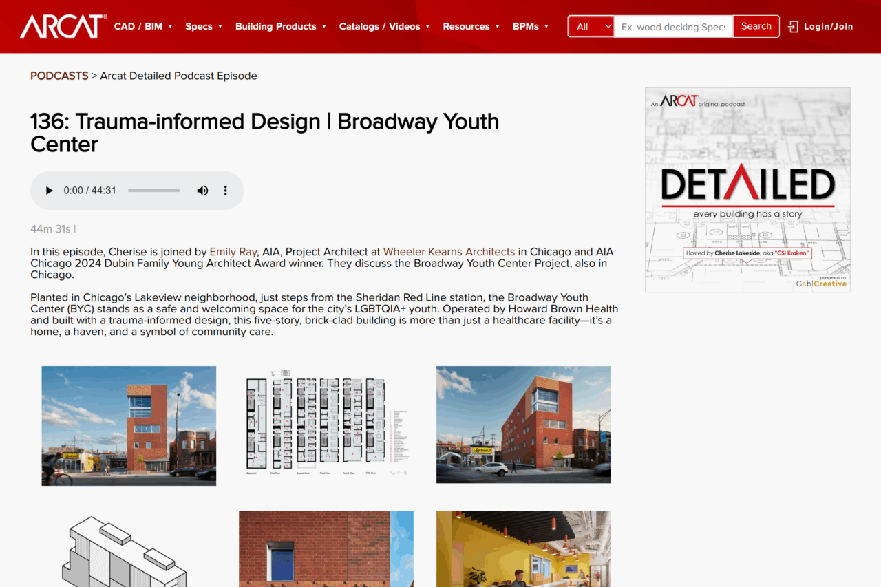 Emily Ray Featured on Detailed Podcast!